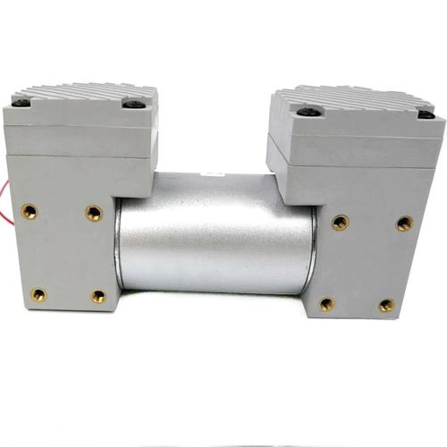 厂家直销小型静音12v220v正负压大流量美容仪器隔膜双头真空气泵